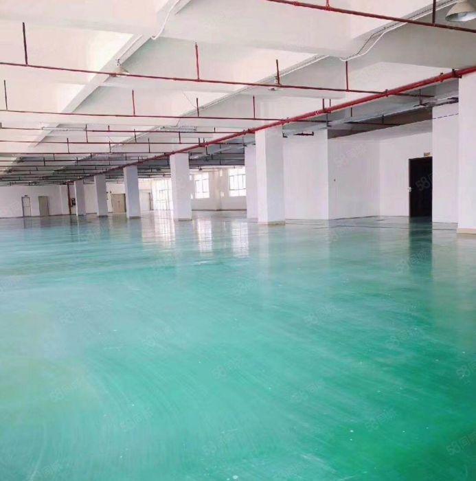 布吉大芬木棉湾双地铁站口单层2000平国企厂房仓库出租可分租