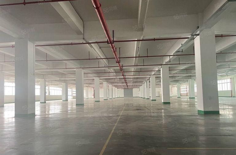 布吉大芬油画村楼上300平至2000平二楼厂房仓库低价出租