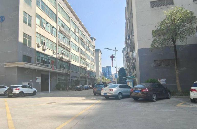 龙岗丹竹头地铁口原房东200至2000平厂房仓库出租精装办公