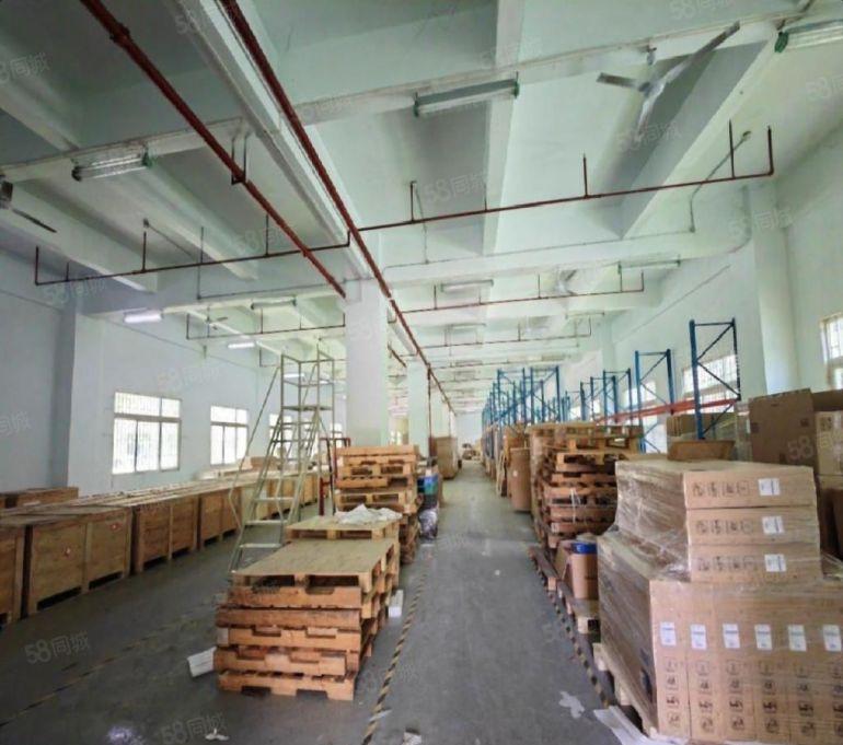 实际面积 层高5米 龙岗新生一楼2000平办公室仓库厂房出租