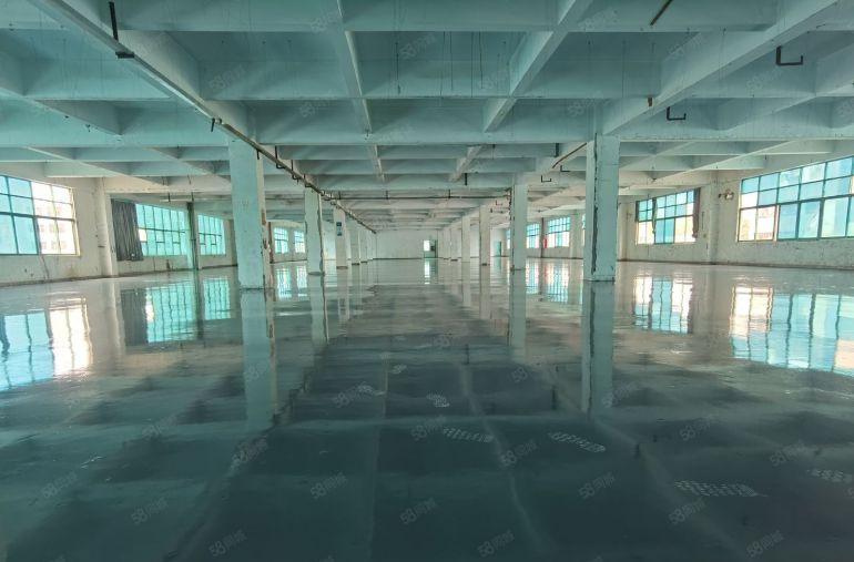 龙岗布吉工业区标准厂房出租三楼整层3000平方500平起分租