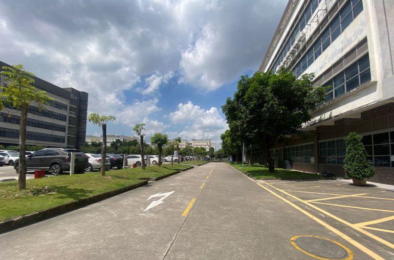 布吉300平方至5000平方厂房出租 原房东一楼仓库出租