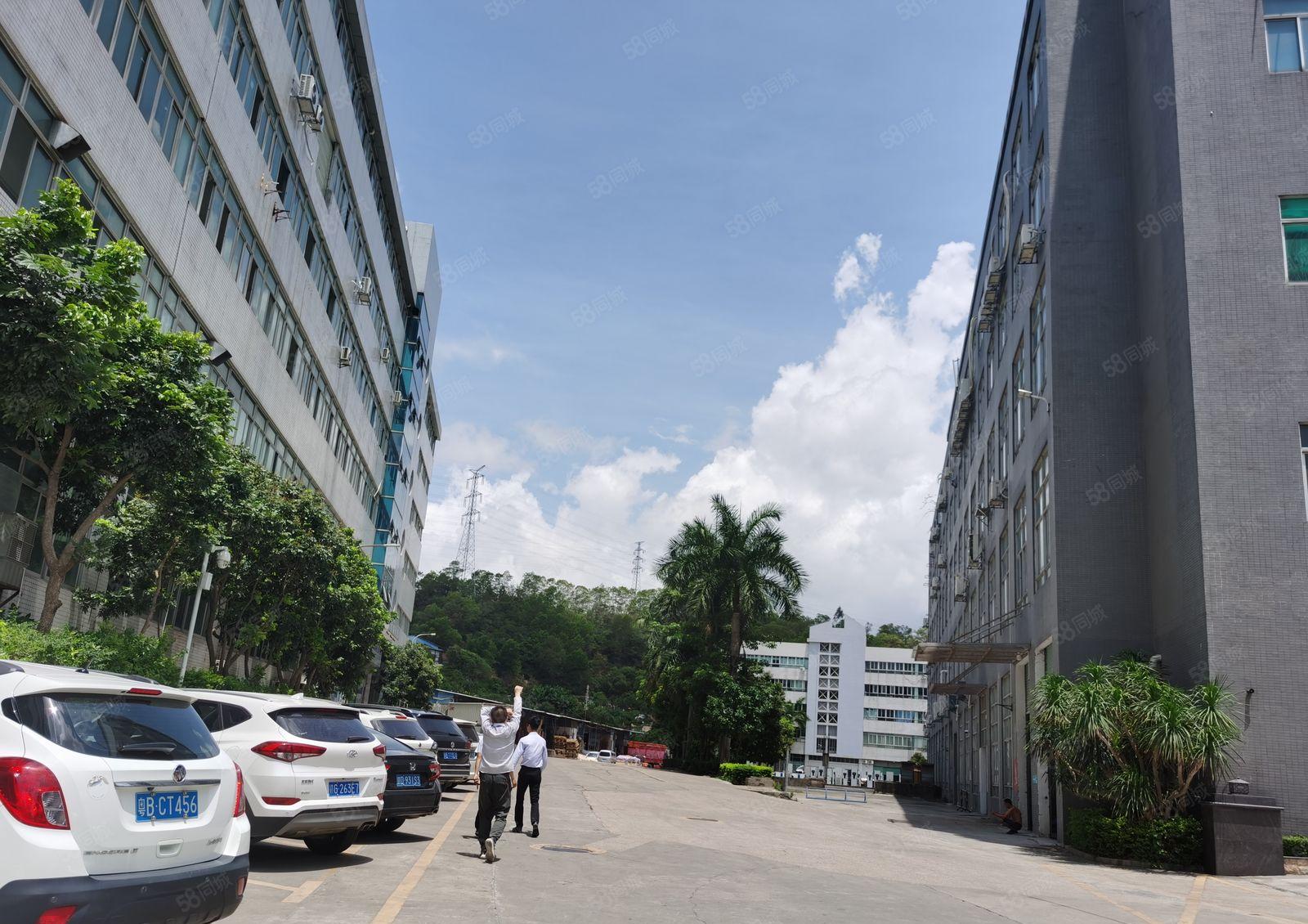 布吉丹竹头新出200平至5000平一二楼园区厂房仓库大小分租