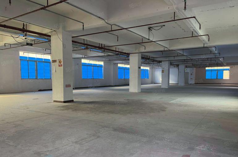 布吉丹竹头主干道1068平方，160平方起分