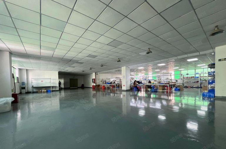 布吉白鸽笼地铁口 原房东600平 精装修 厂房仓库出租