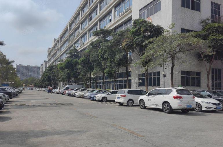 布澜路原房东业主直租