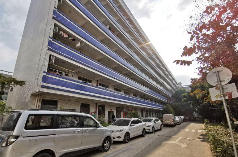 靓盘！丹竹头低价外贸产业园 仓库出租 可分租