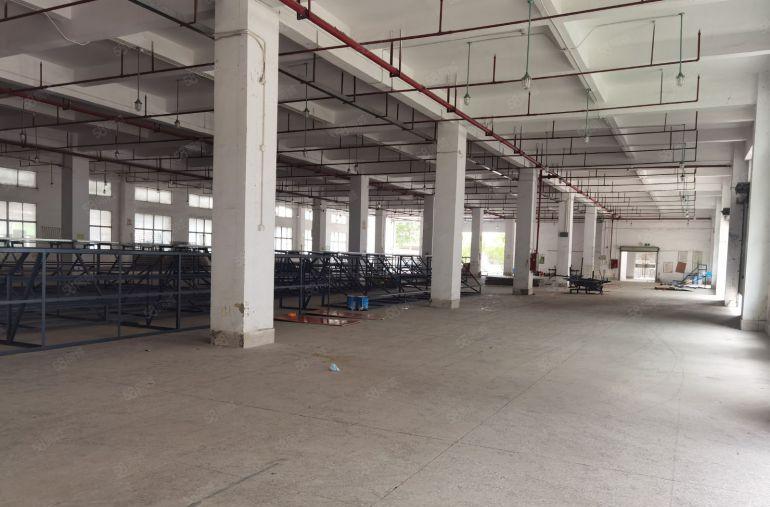 布吉上李朗新出独栋独院1到5层单层3800平高新补贴红本出租