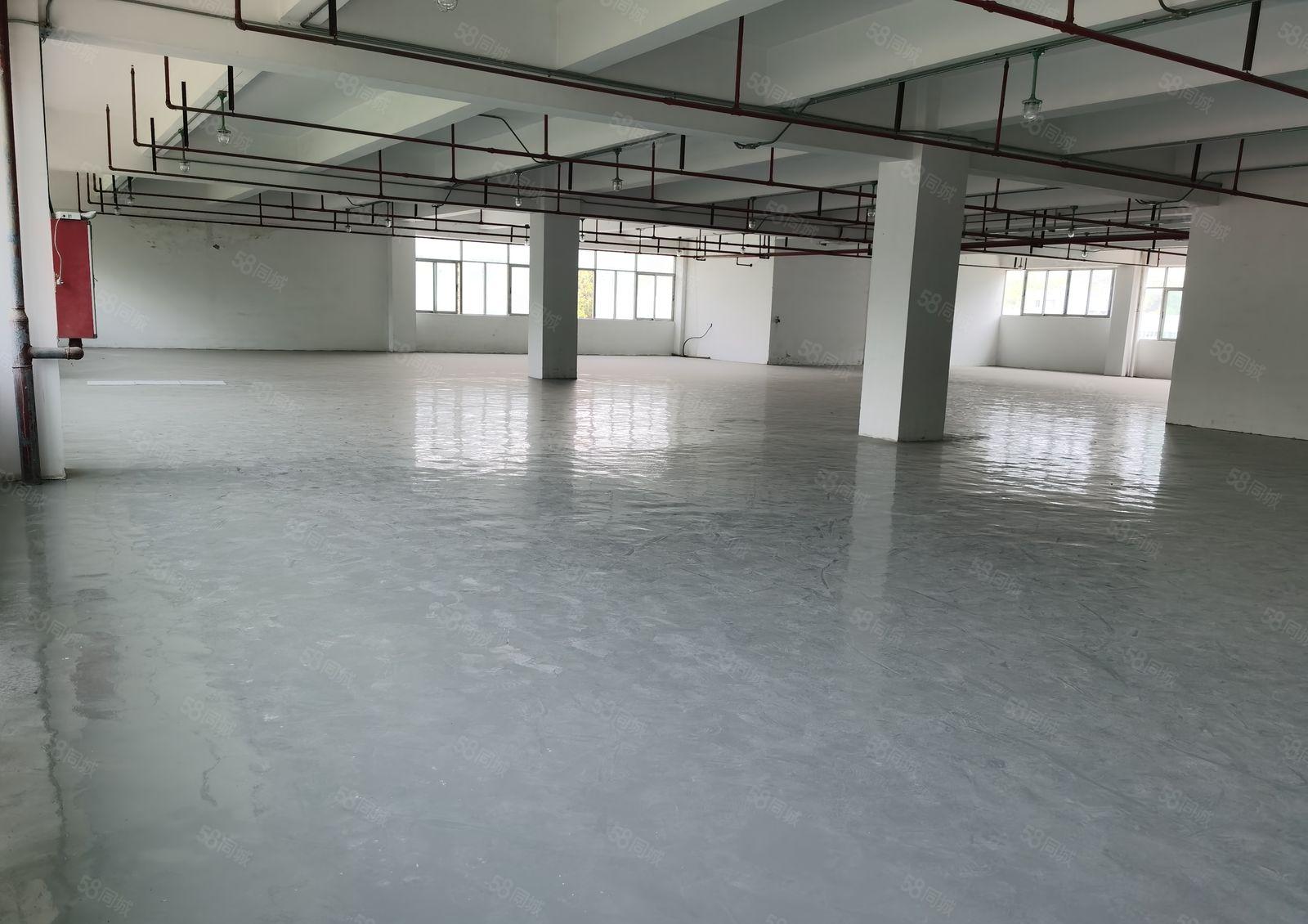 布吉丹竹头新出200平至5000平一二楼园区厂房仓库大小分租