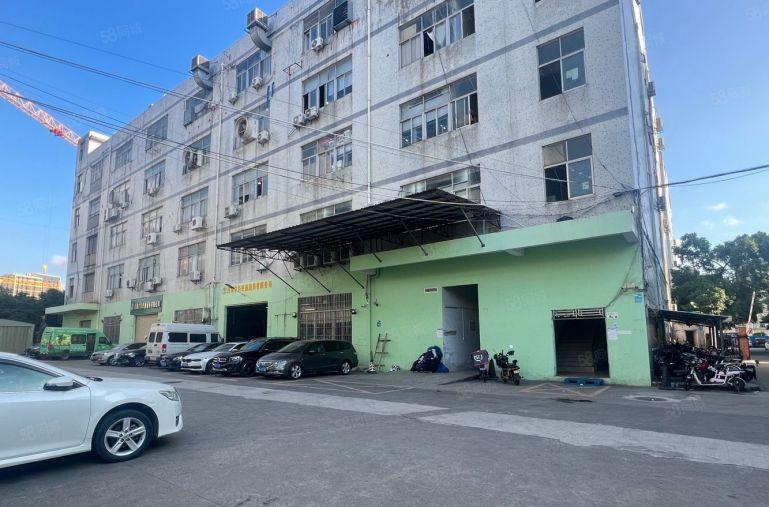 现成冷库！红棉路边一楼2300平有牛腿空地大适合仓储物流配送