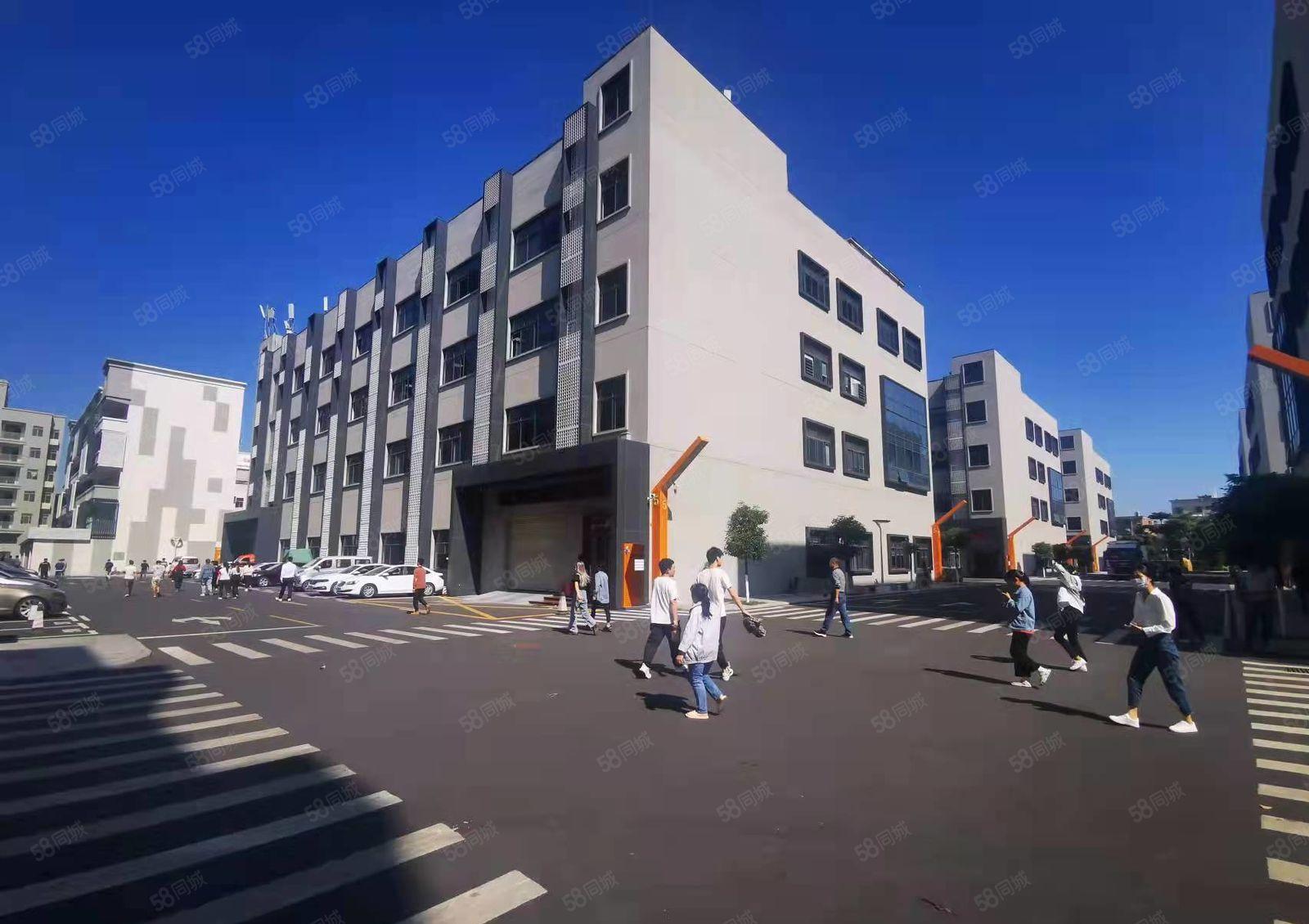 500平起，布吉1983创意小镇2楼1000平仓库办公厂房出