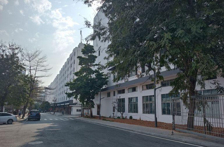 500平起分布吉李朗地铁站大型园区独栋4800平厂房仓库出租