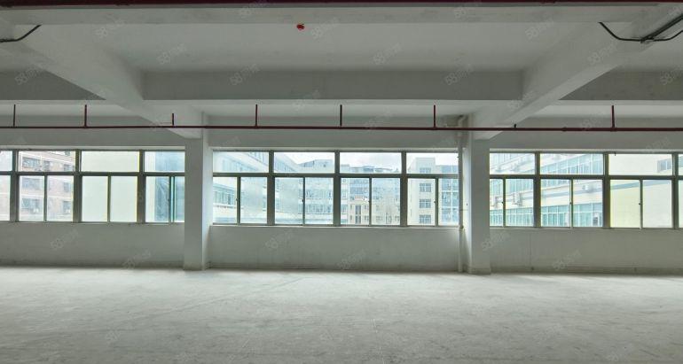 上水经原房东整栋12000平带装修500平起厂房出租仓库出租