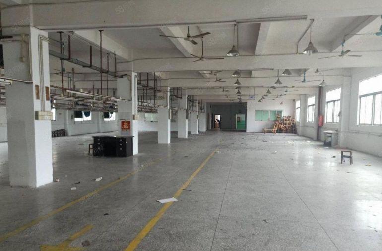 上李朗新出独院5000平方厂房仓库出租 大小可以分租 形象好