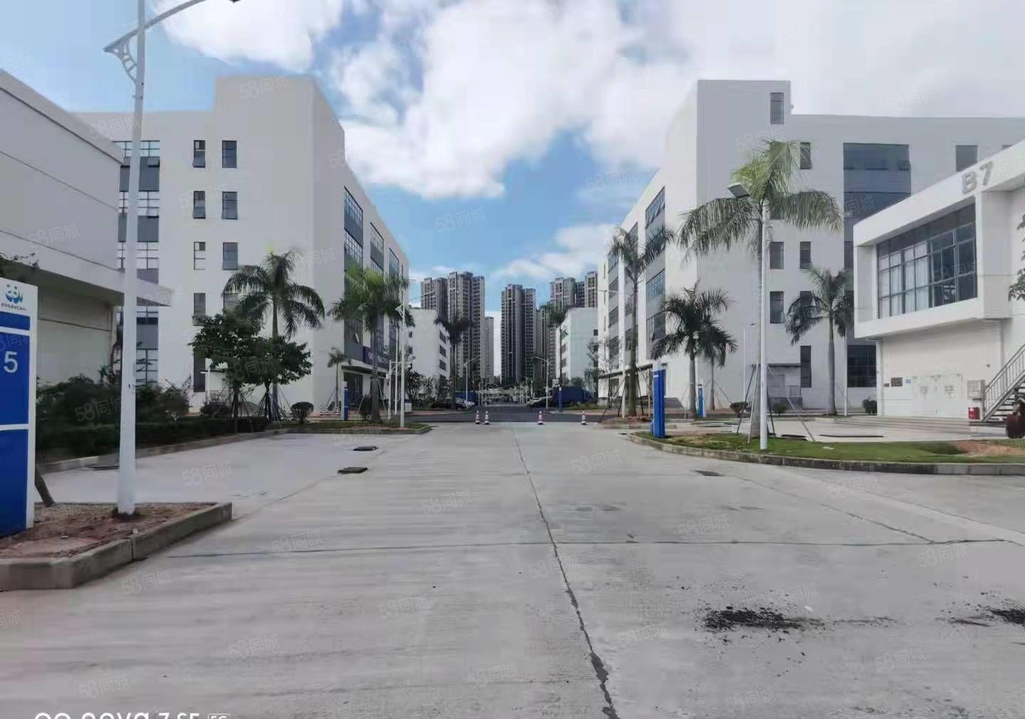 龙岗布吉李朗原房东科技园空出楼上1000平厂房仓库出租大小分