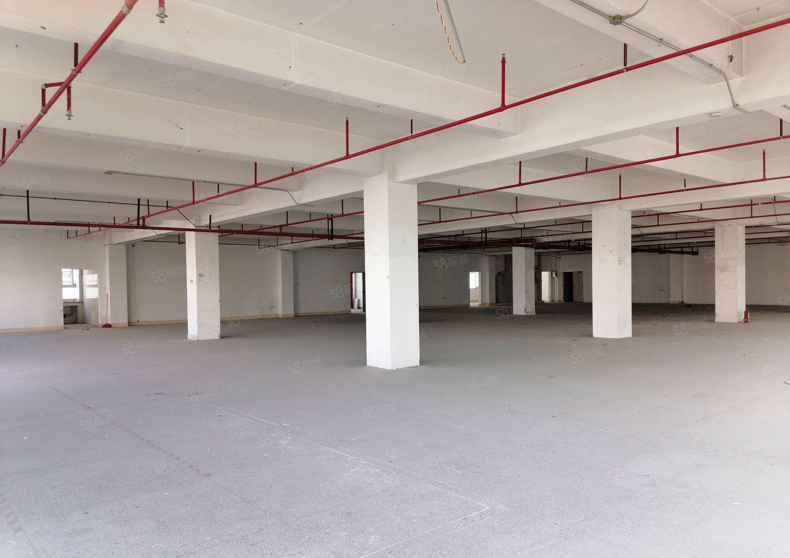 布吉主干道高实用率一手红本厂房仓库出租