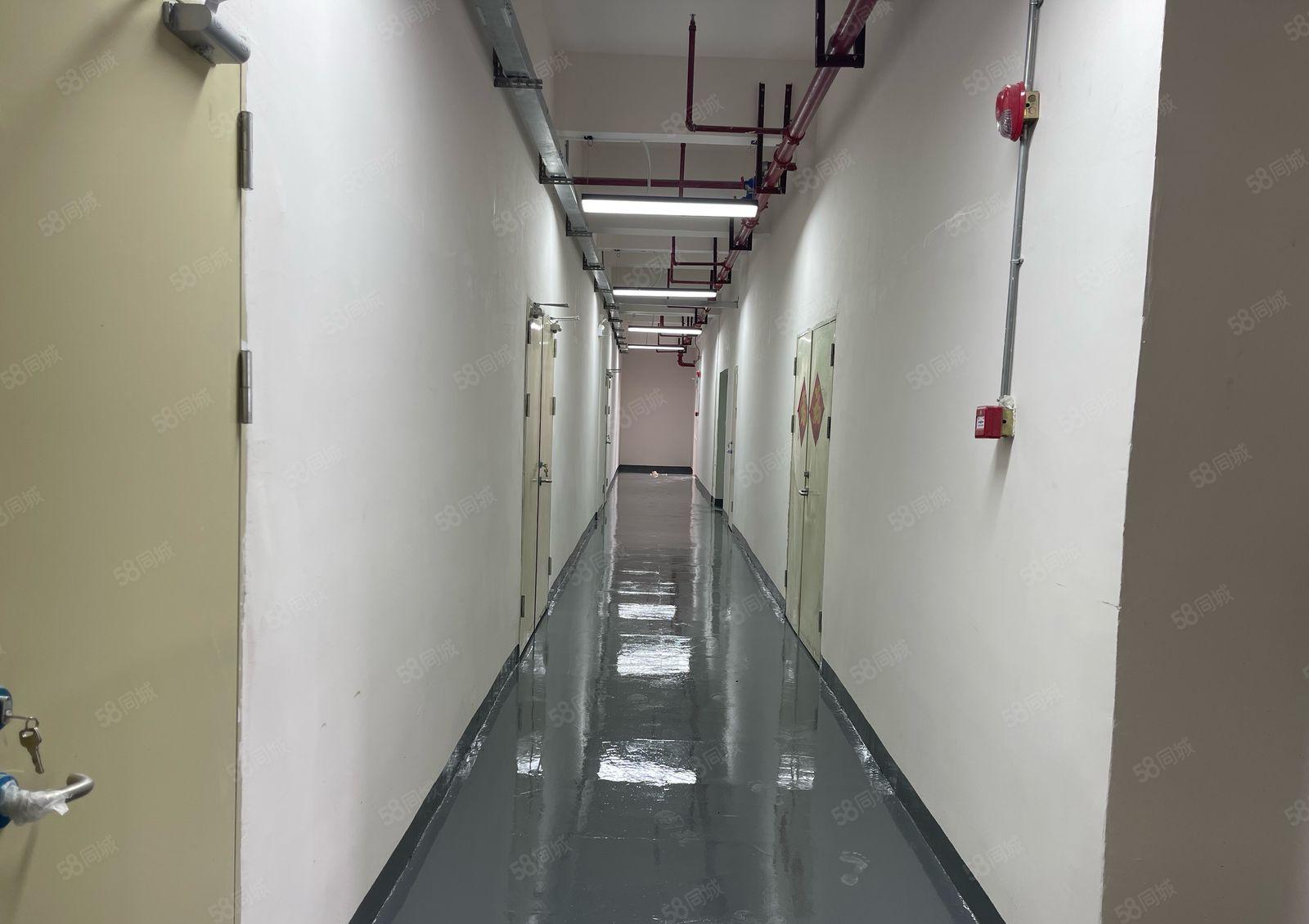 丹竹头280平米 全新地坪漆 适合电子仓库电商小加工