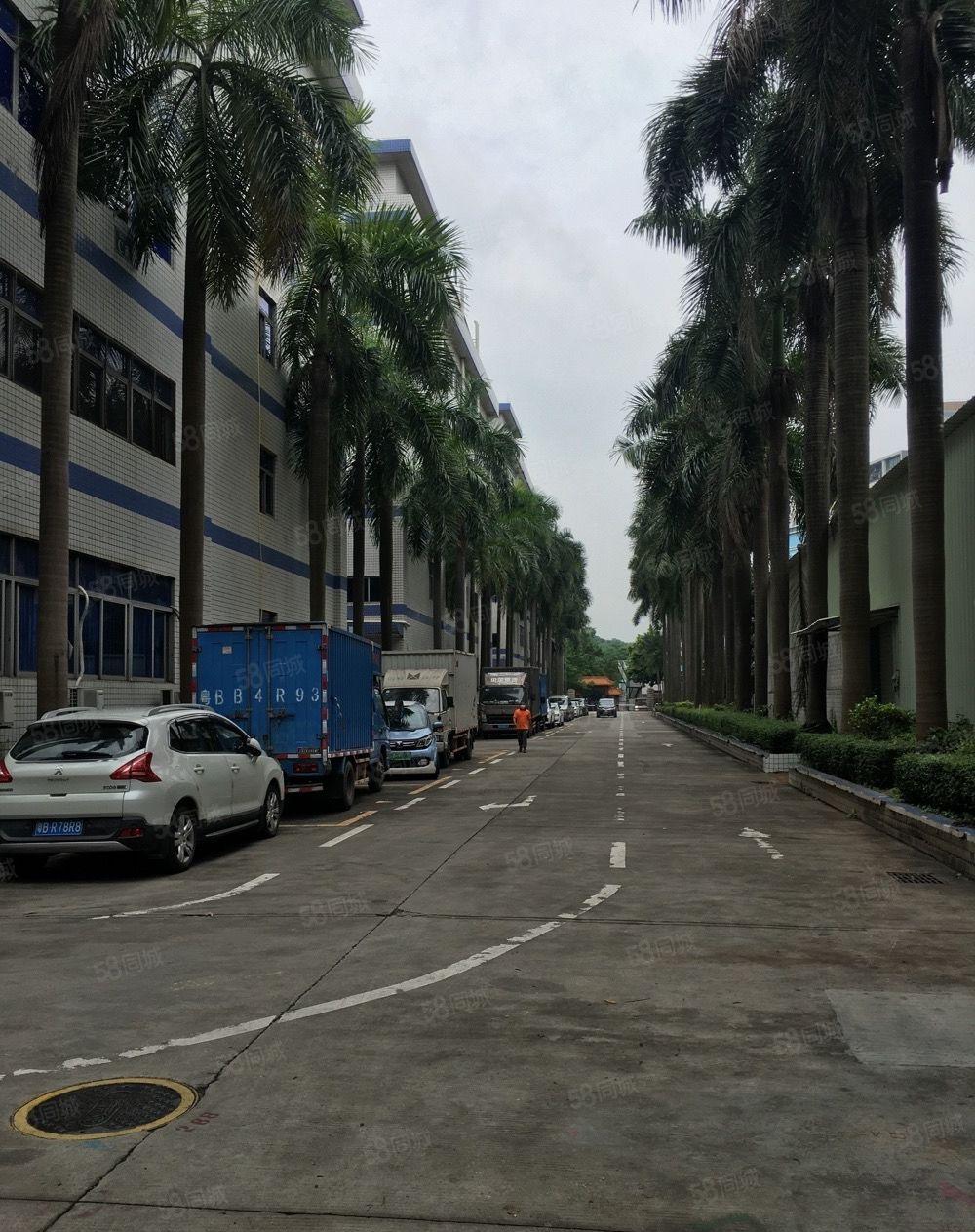 布吉丹竹头早禾坑工业区三楼520平米厂房仓库出租