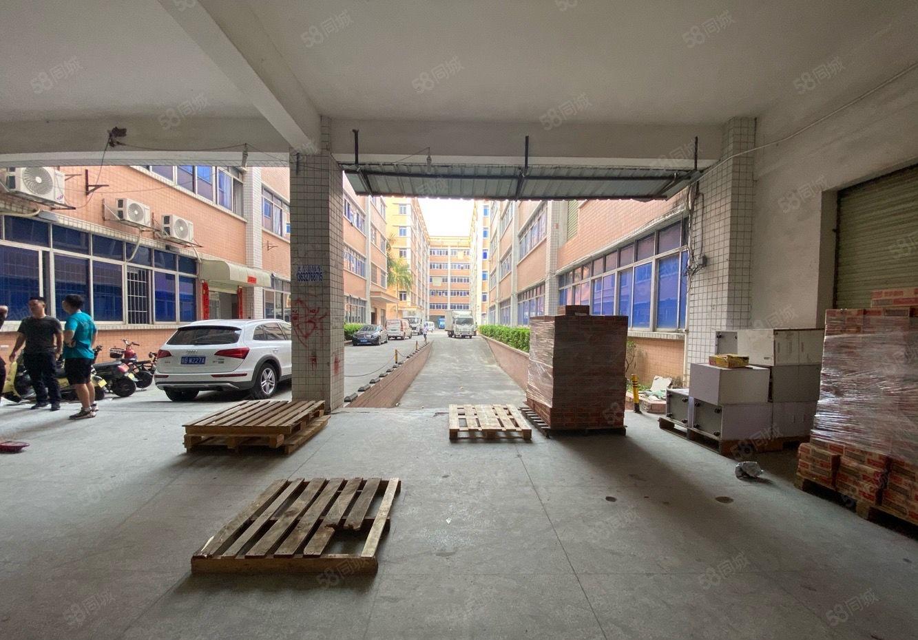 丹竹头原房东红本315至1080平厂房出租园区空地大可进柜车