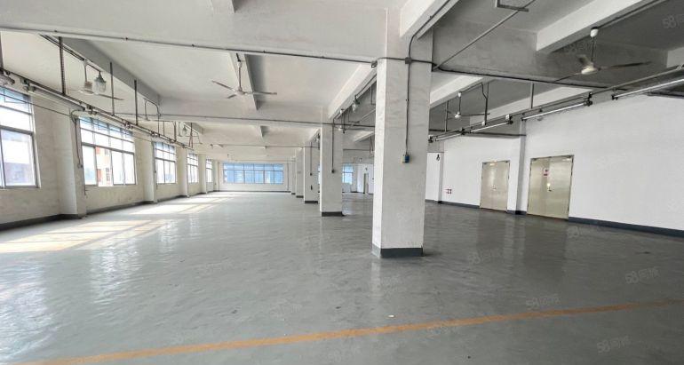 布吉园区空出1470平方现成装修厂房原房东红本