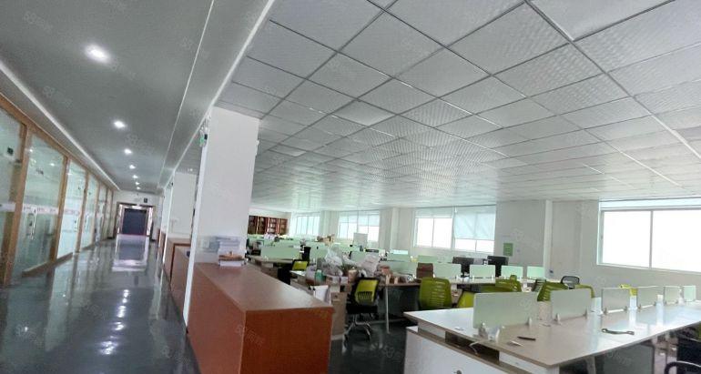 李朗珠宝园新出1000平精装修办公仓库厂房原房东实际面积出