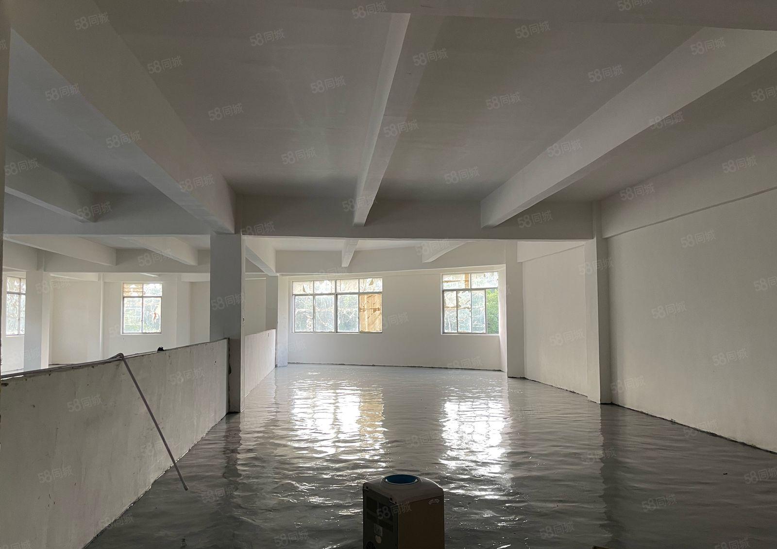 丹竹头 小面积厂房 22元280平米 起租 全新装修