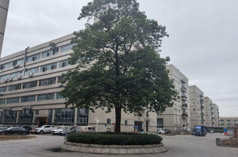 坂田布吉新出1000平至5000平方厂房仓库出租独院大小分租