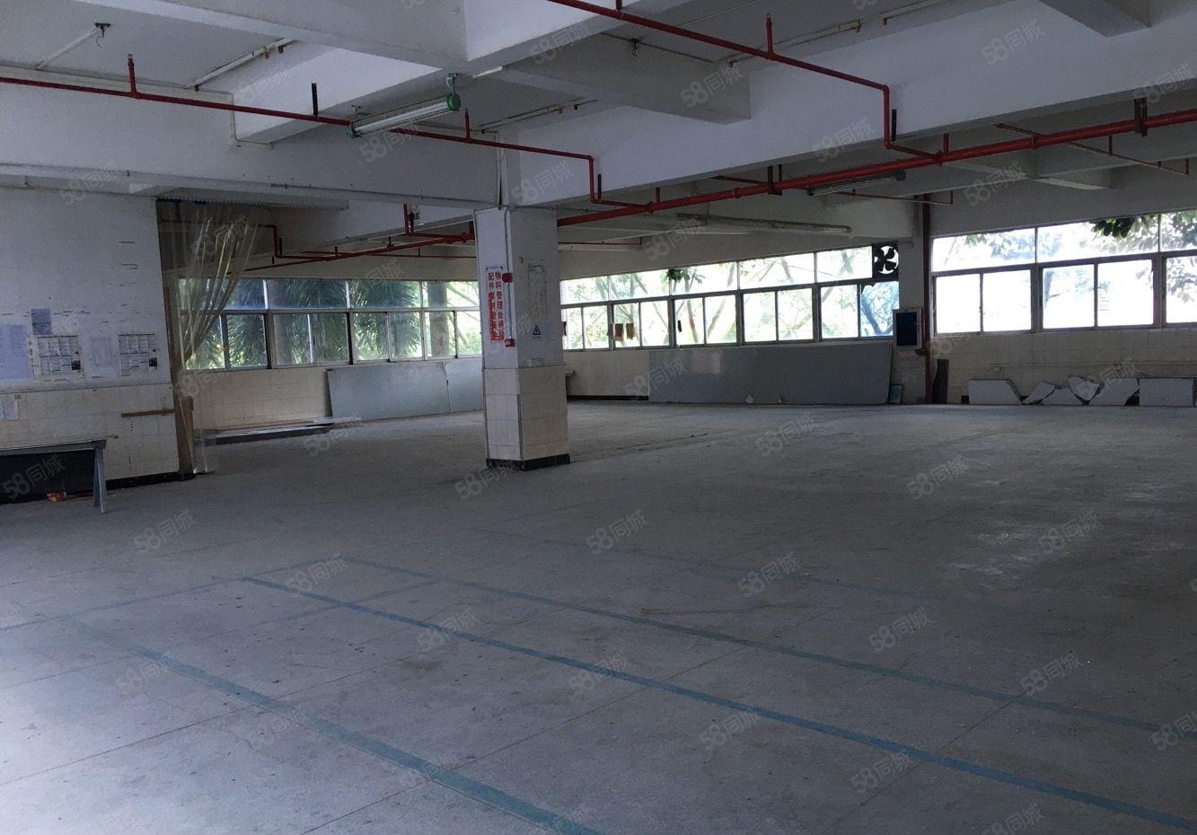 布吉丹竹头早禾坑工业区三楼1800平米厂房仓库出租