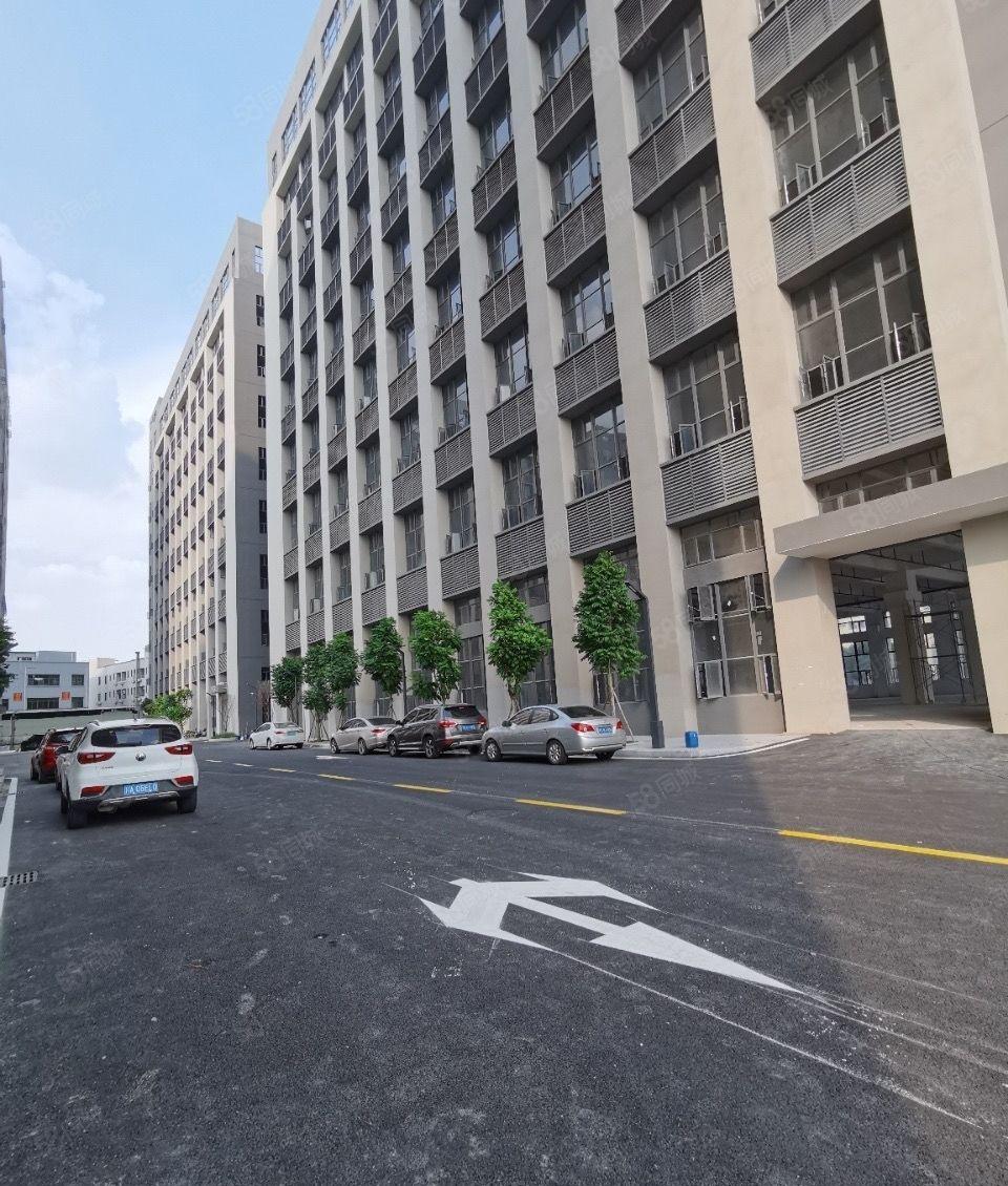 布吉李朗高薪科技园楼上300至2000平带装修主干道边上出租