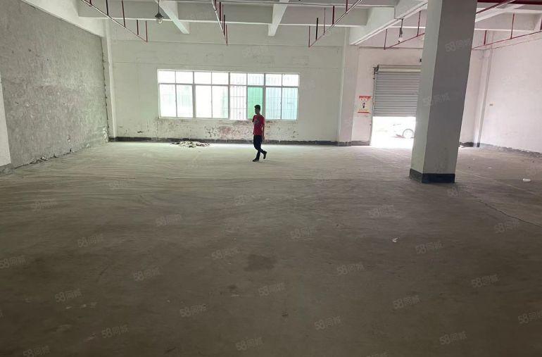 沙湾工业区原房东一楼仓300平 650平出租