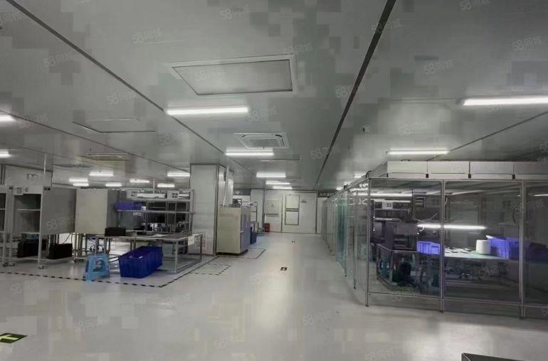 （出租）布吉下水径2000平带精装修厂房低价出租大小分租