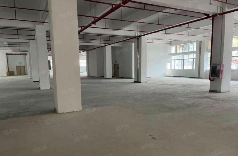 布吉联创科技园一楼厂房出租整层1600平，可分800平方