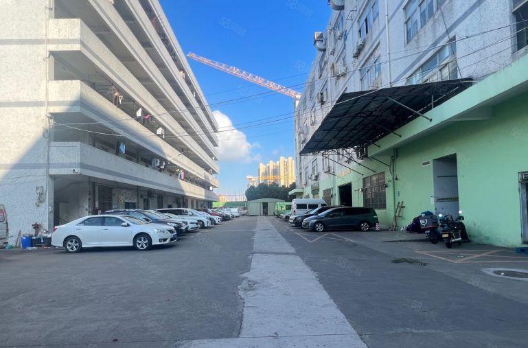 现成冷库！红棉路边一楼2300平有牛腿空地大适合仓储物流配送