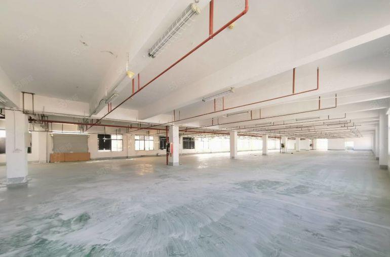 布吉百鸽笼工业园低价直租300至2000平厂房仓库出租可分租