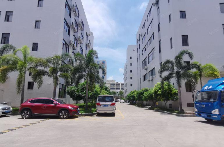 低价！布吉大芬工业园厂房1000平出租办公仓库