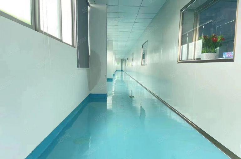 19元租布吉无尘车间2000平地铁口原房东现成装修无转让费的