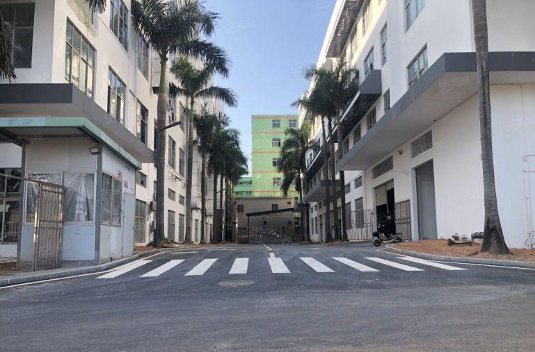 红本厂房！布吉李朗独门独院18000平原房东直租！