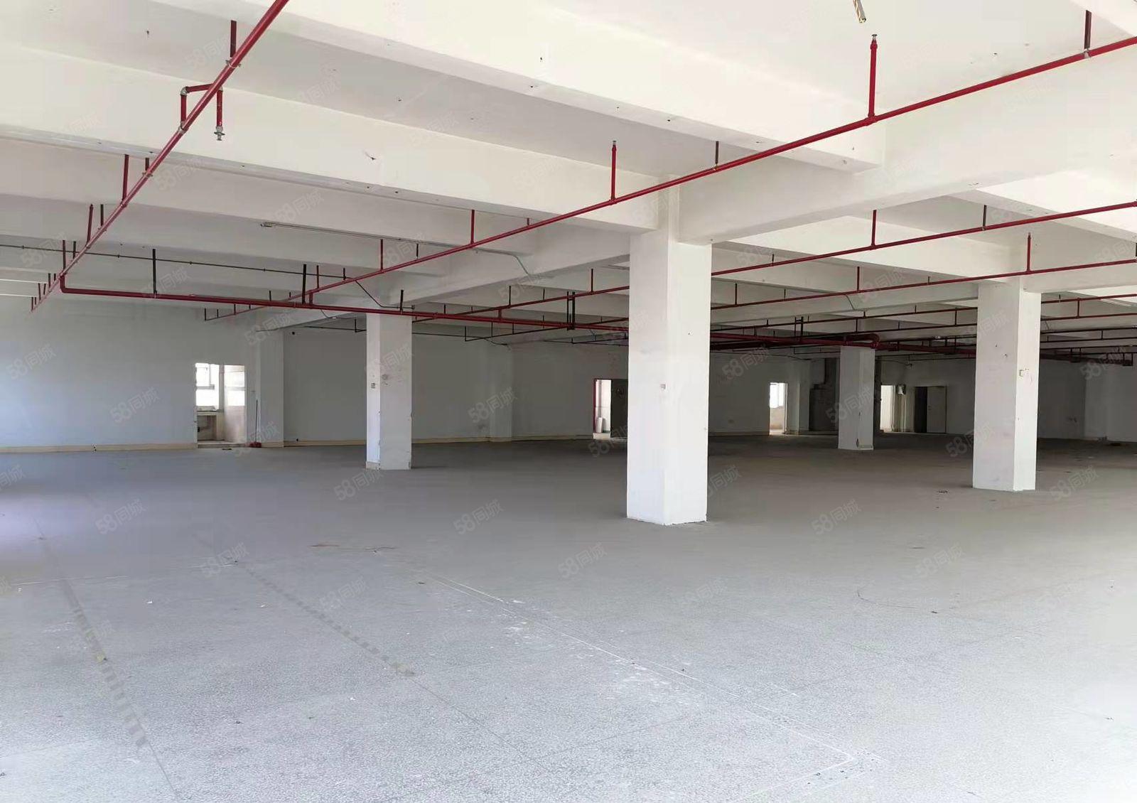 布吉 主干道旁 超高实用率 一手红本厂房仓储出租