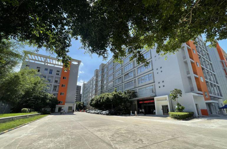 布吉百鸽笼地铁站楼上1000平方精装修办公室厂房仓库出租