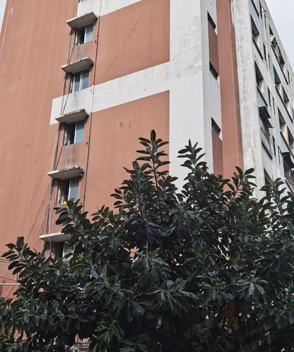 恒通工业城 工业厂房出租 独门独院 大型工业区