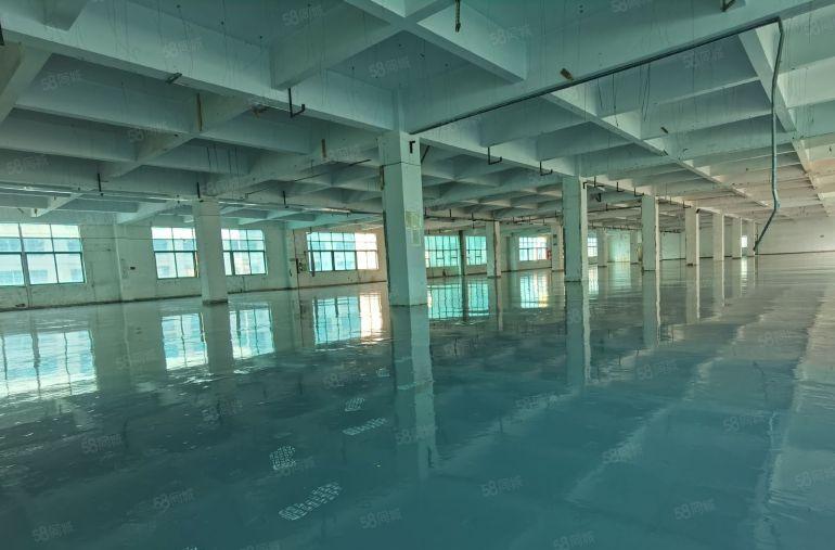 龙岗布吉工业区标准厂房出租三楼整层3000平方500平起分租