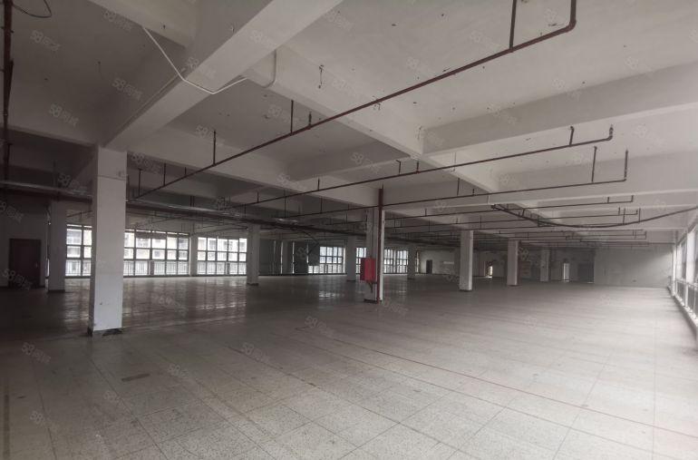 特价布吉李朗原房东红本18000平独栋厂房出租带精装修可分租