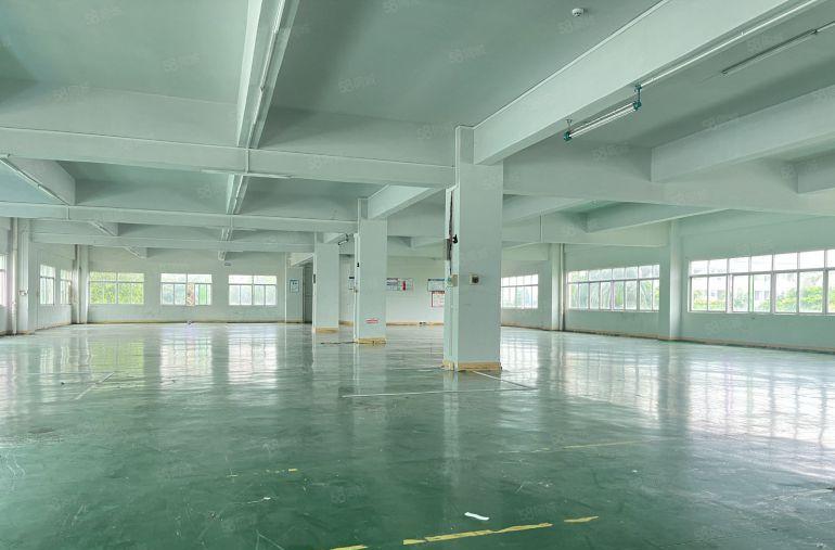 布吉街工业园原房东新出楼上1000平精装修办公室仓库厂房出租