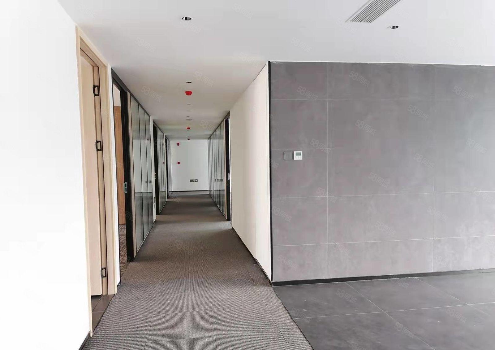 布吉 中交科技城 主干道旁 全新精装 独栋办公 整栋出租