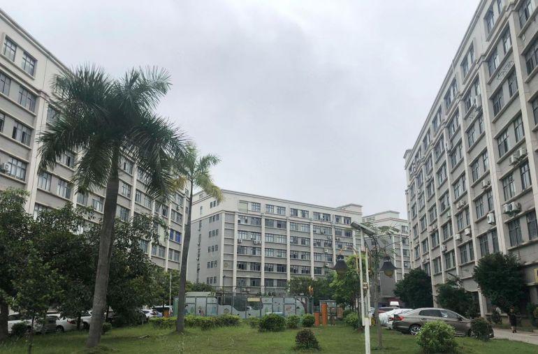 布吉10号线李朗科技中心100平起大小面积可分，电商仓库办公