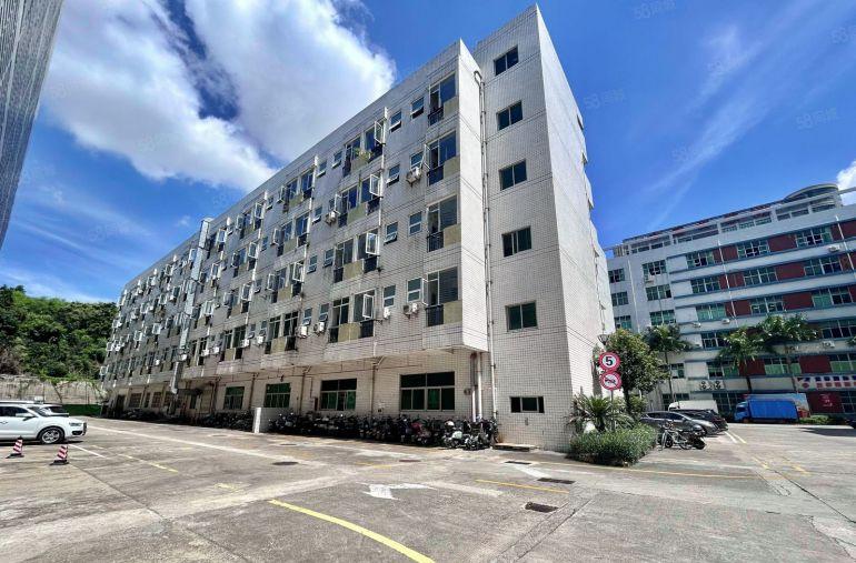 布吉丹竹头楼上整层2500平厂房出租可分租100平起