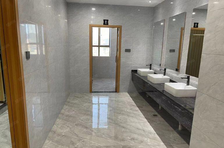 沙湾科技园小面积办公室出租80平 160平 300平