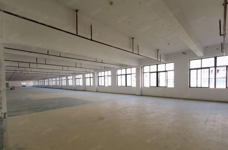 布吉联创科技园2000平红本厂房可分租 原房东直租园区带环评