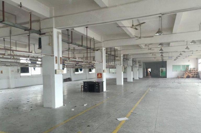 上李朗新出独院3300平方厂房仓库出租 大小可以分租 形象好