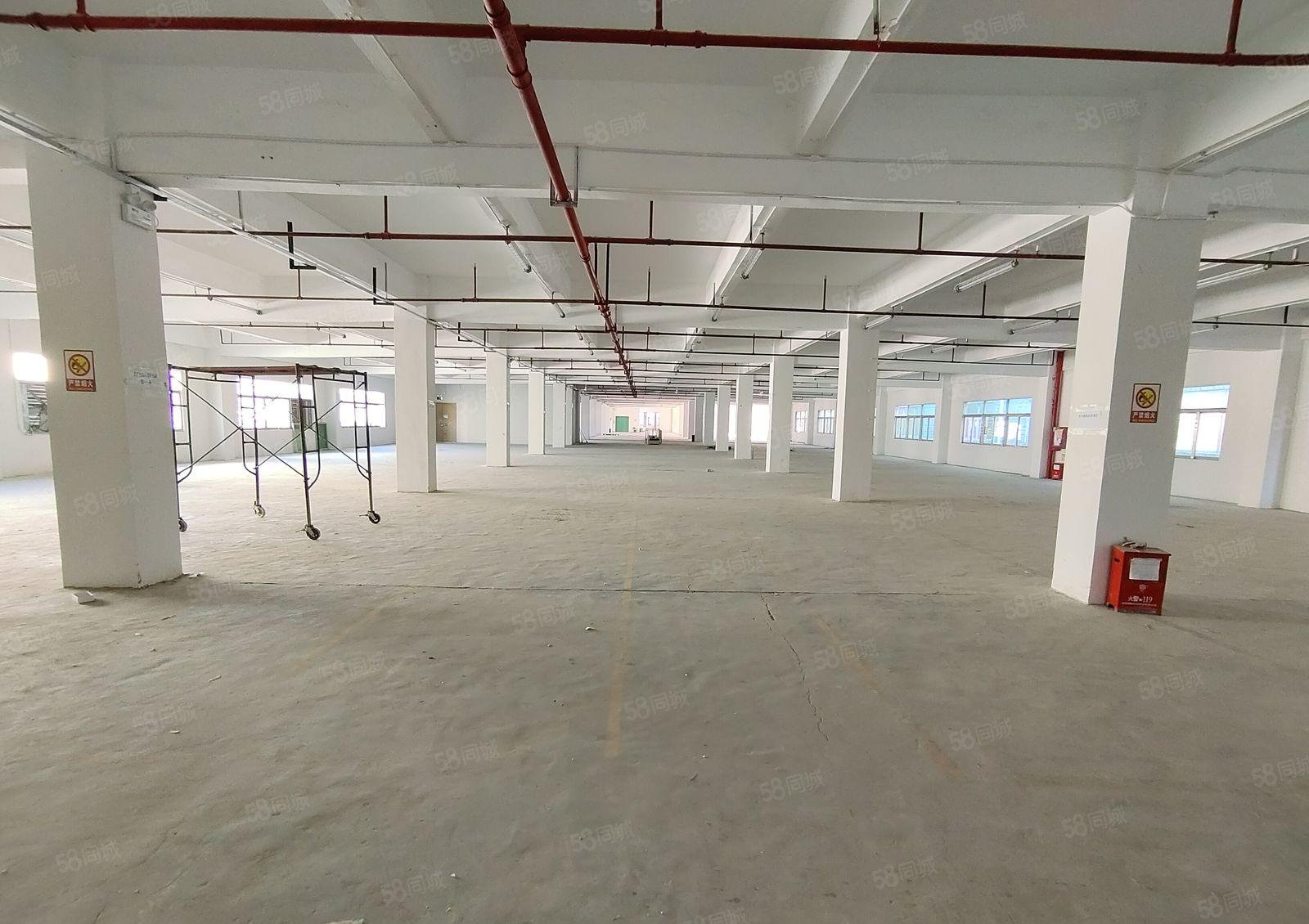 布吉新出原房东独院1780平厂房仓库出租可分租可合租交通便利